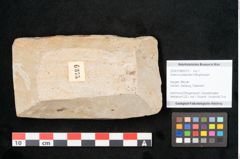 Foto (Objekt + Etikett) von Quercus palaeoilex Ettingshausen (NHMW-GEO-2024-0188-6375)